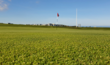 MM seed making waves in Newquay