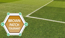 Sustainability at the forefront of new mixtures from DLF at BTME – Red 270