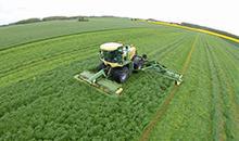 ProNitro®  coated seeds help the sward survive a drought 
