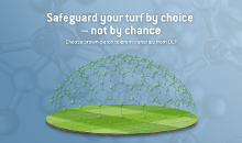 Safeguard your turf by choice - not by chance