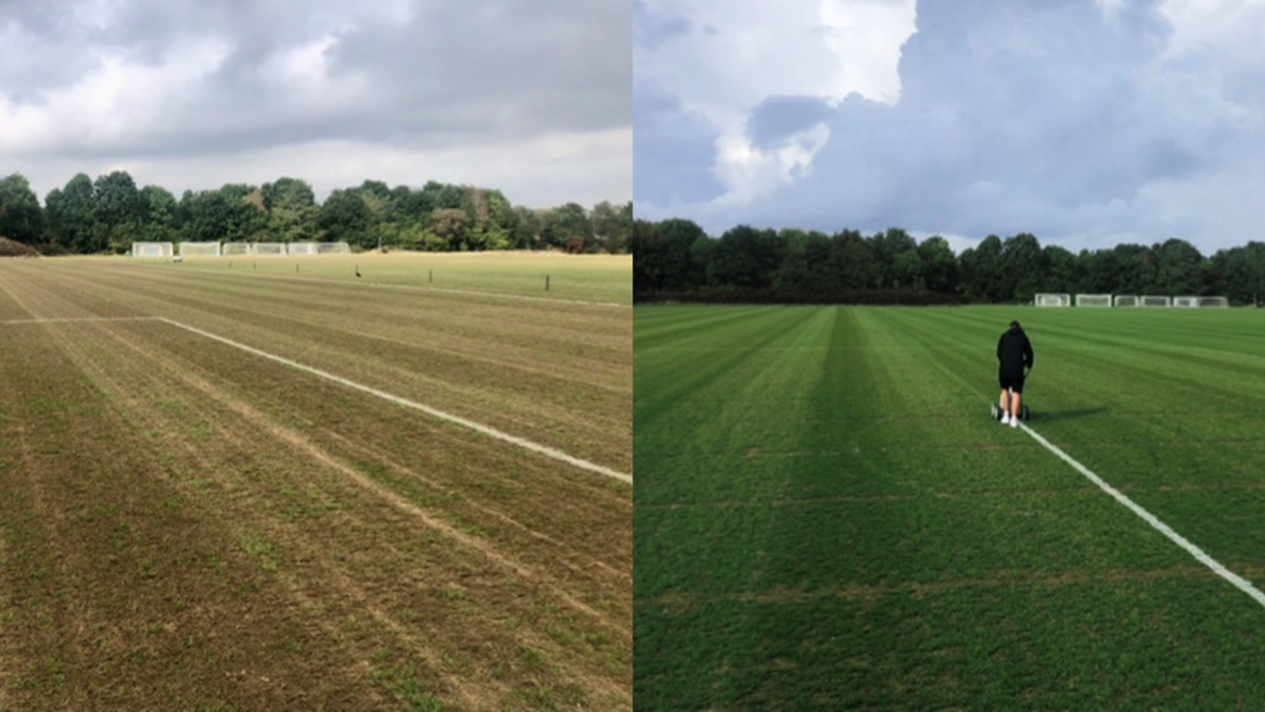 4Turf® Delivers A Sustainable Drought-Tolerant Sward At Stoneham Lane