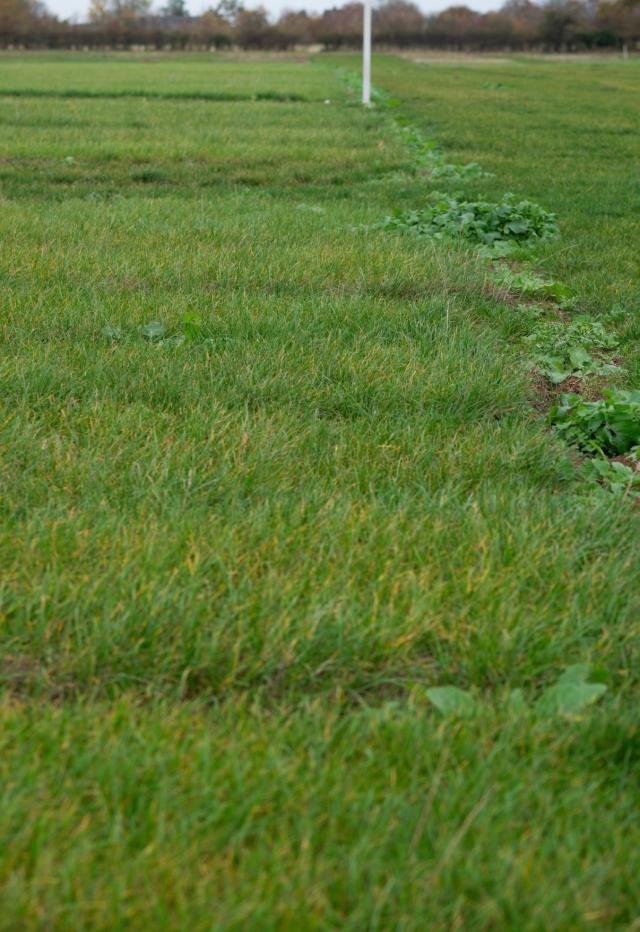 SFI update as DEFRA releases the headline details