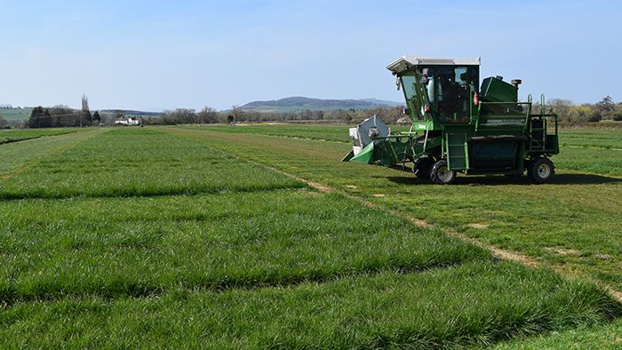 didbrook_-haldrup_-agriculture_-www.dlf.co.uk_-grass-seed_-forage_-grassland-management_-research-and-development.png