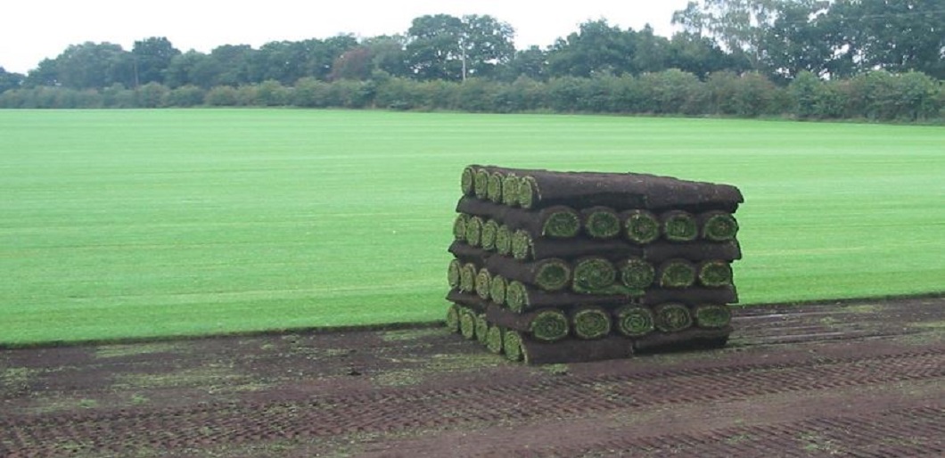 Pro Turf 2